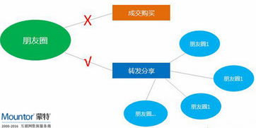 运营app网站,种子用户我们该如何寻找